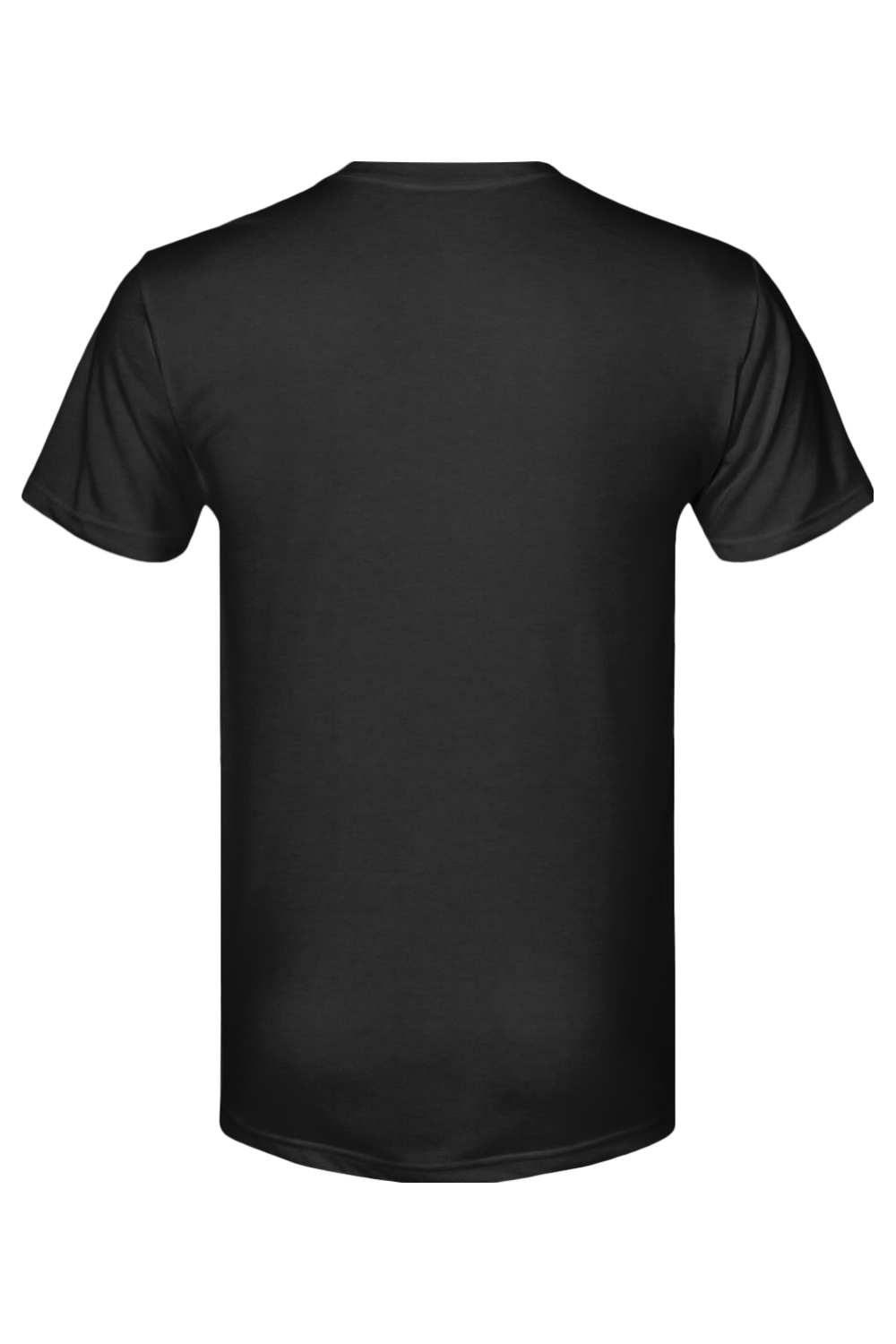 Next Level Triblend T-Shirt - NL6010