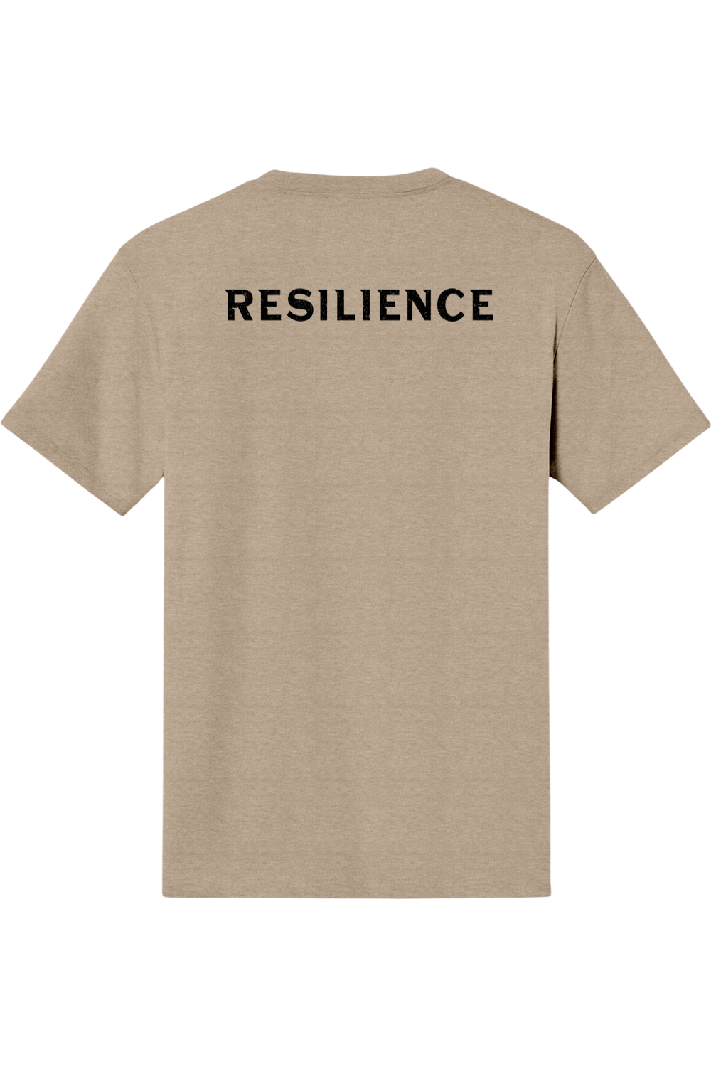 Resilience Chad 2026 Triblend T-Shirt - Unisex