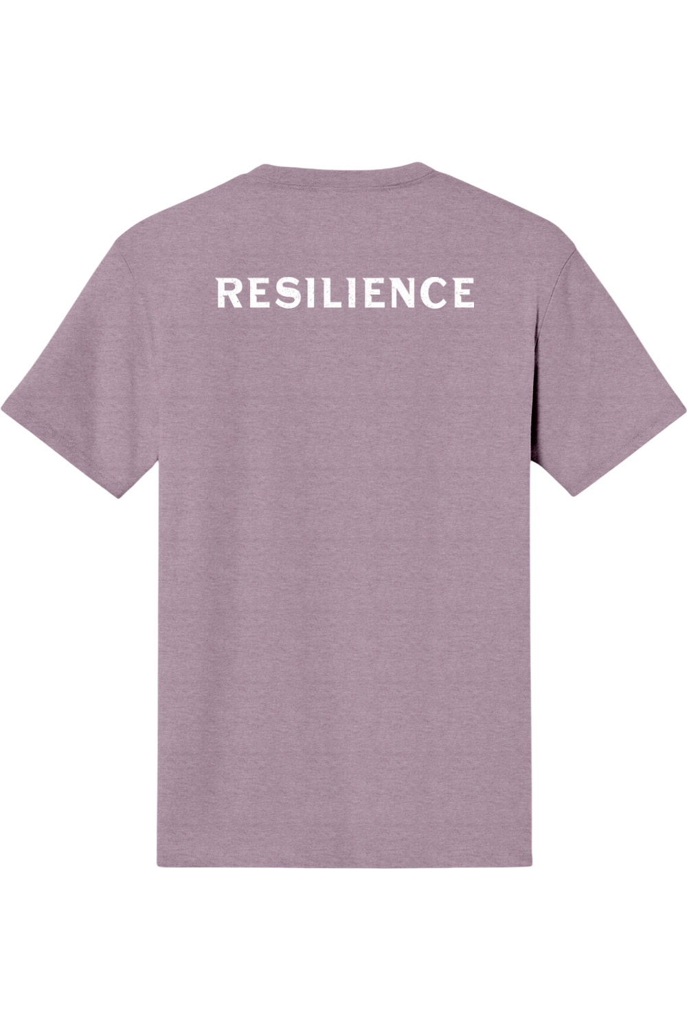 Resilience Chad 2026 Triblend T-Shirt - Unisex