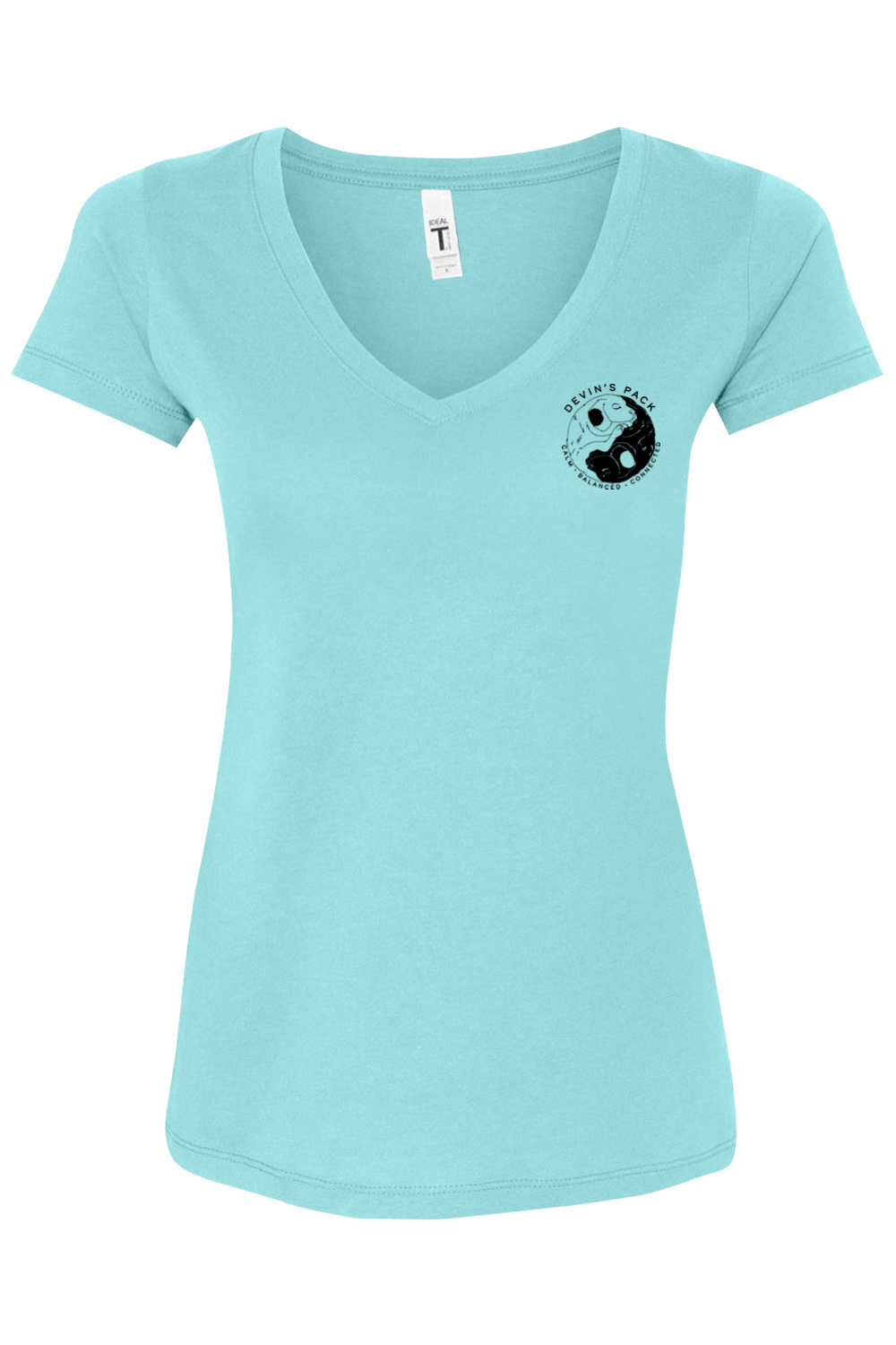 Devins Pack Women's V-neck T-shirt