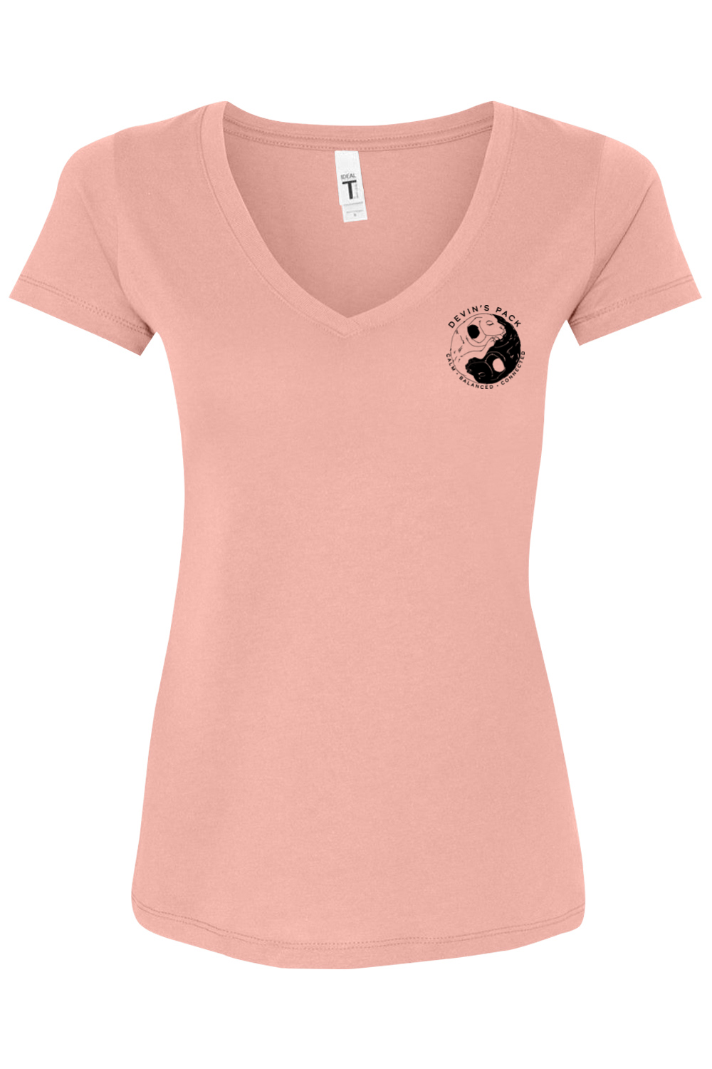 Devins Pack Women's V-neck T-shirt