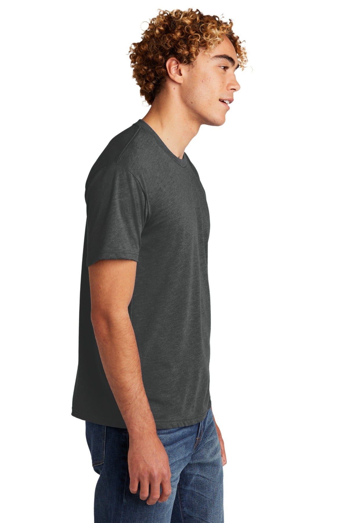 Next Level Apparel Unisex Tri-Blend Tee. NL6010